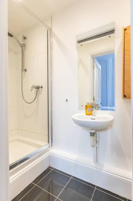 Victorian Flat Close To Station With Large Garden Daire Brighton Dış mekan fotoğraf